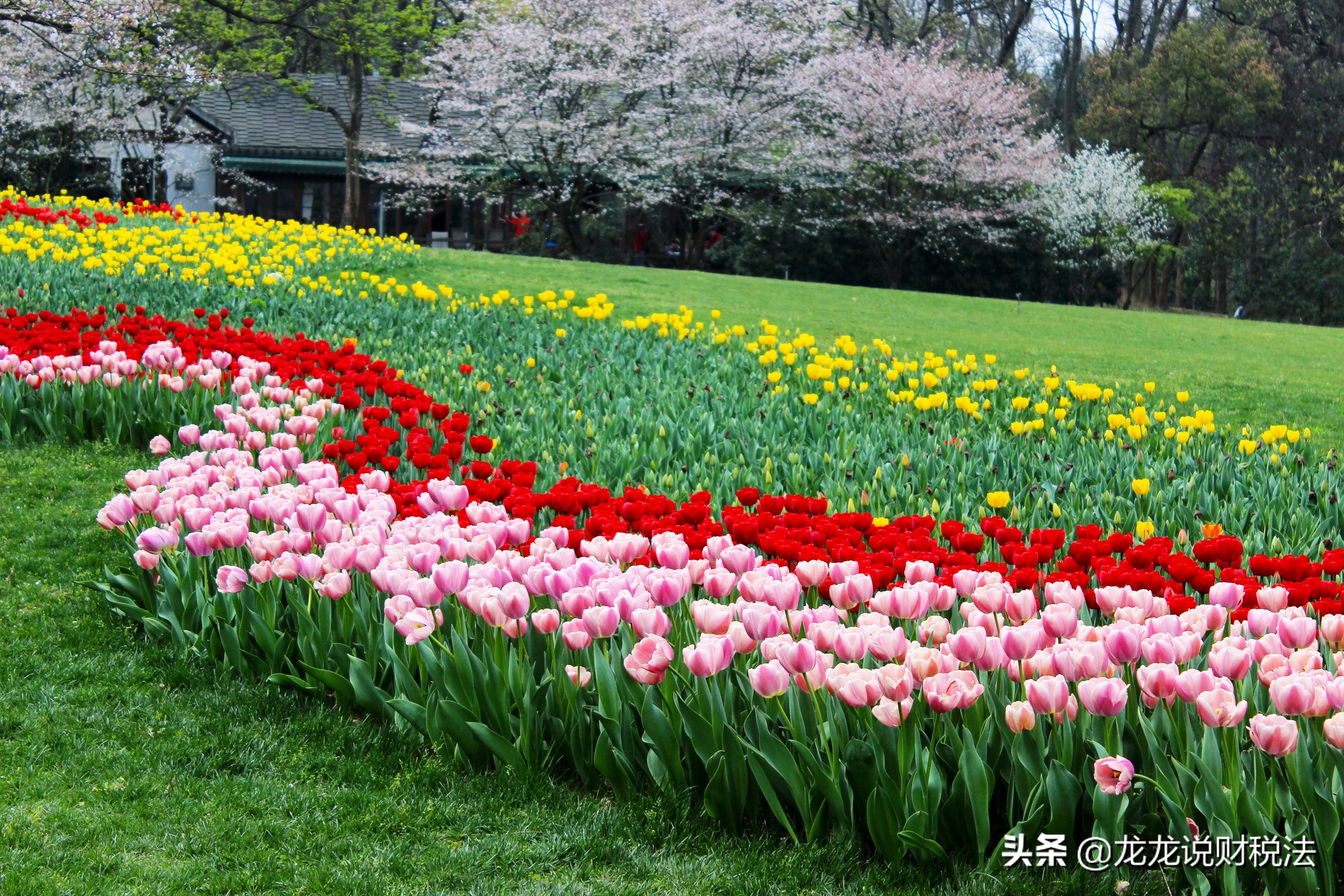 法律实务课件学习8:何谓中标合同及实质性变更