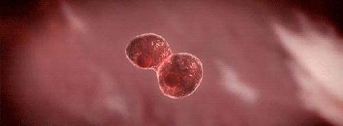 脑梗塞后遗症三年了还可以治愈吗,脑梗塞后遗症能彻底治愈吗