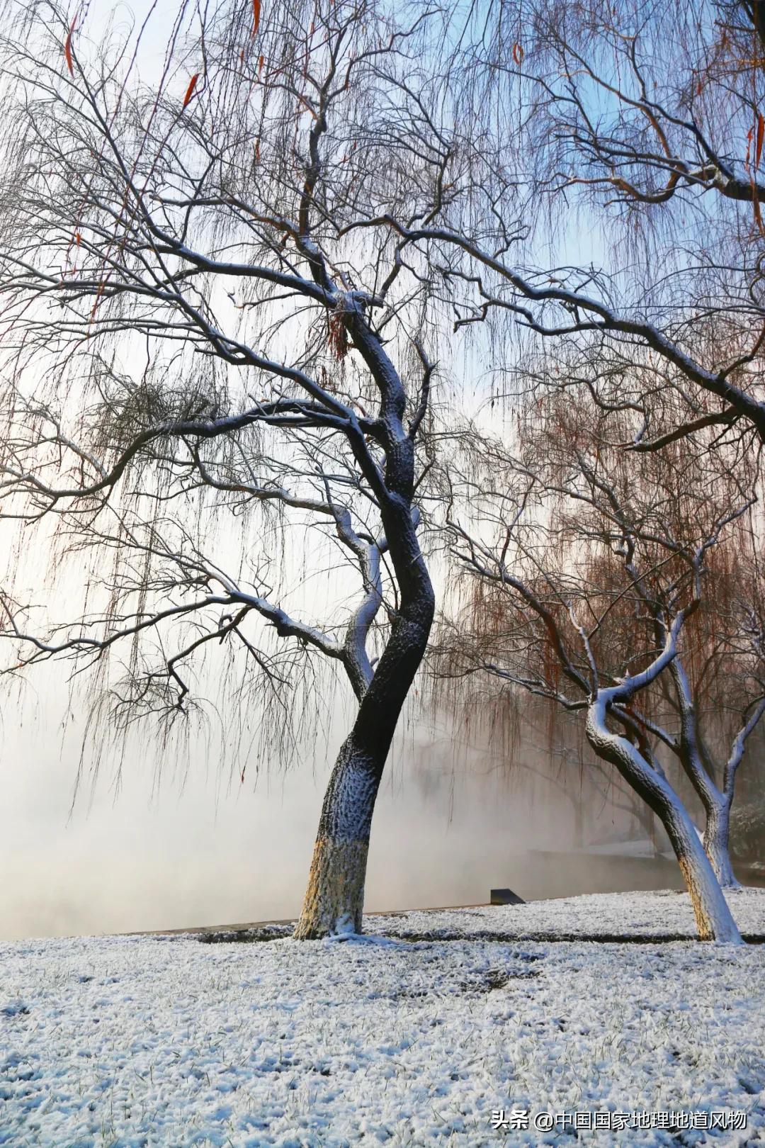 世界二线城市中国有哪些城市,济南是一线还是二线城市
