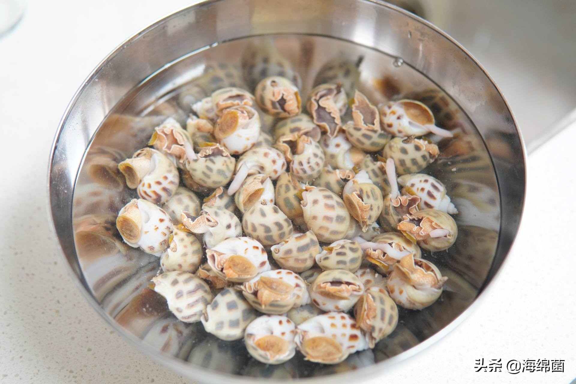 博拉利多功能蒸汽料理锅测评,博拉利蒸汽锅介绍