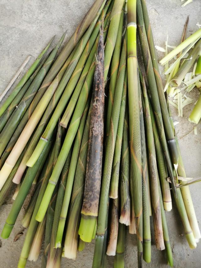 煮过的竹笋怎样在冰箱里长期保存,竹笋拔了怎么保存