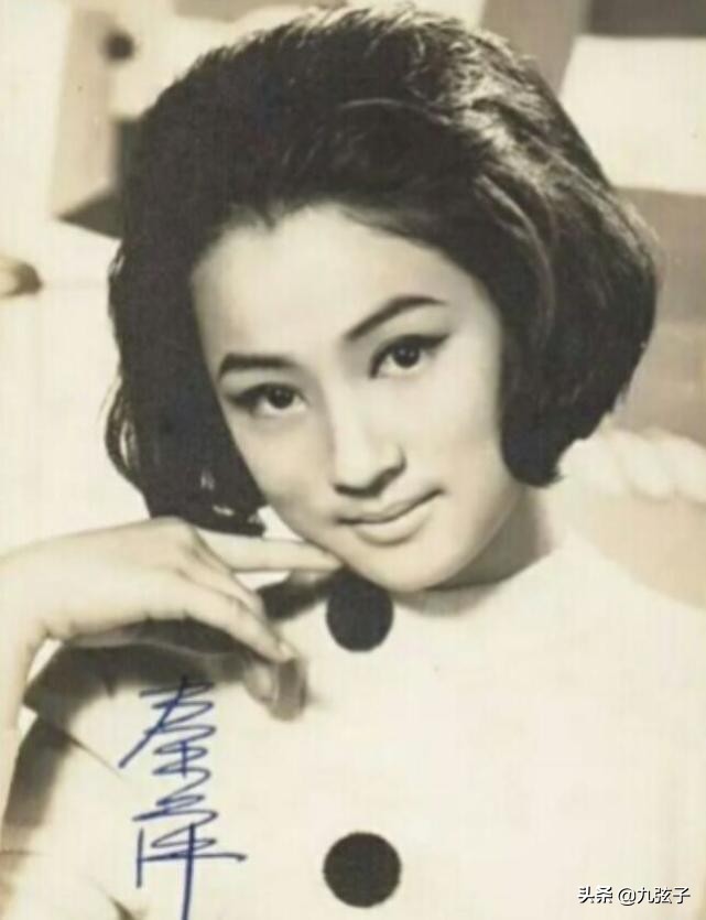 邵氏七仙女,邵氏七公主现状