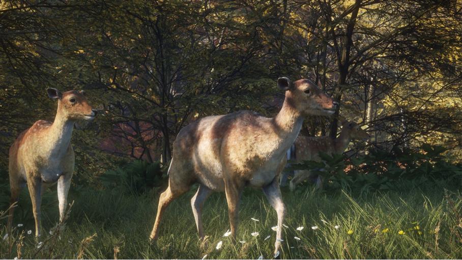 steam拳皇14退款,steam拳皇13和14哪个好