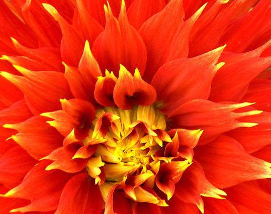 #情感诗文#原创《你若开心，我的爱便一如既往》