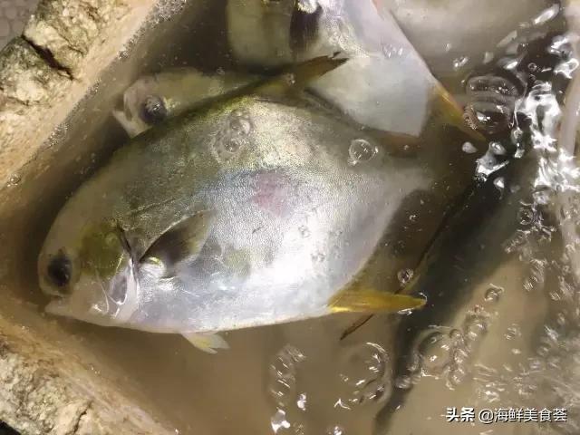 常见的鱼虾蟹等海鲜的认识,虾蟹类海鲜大全