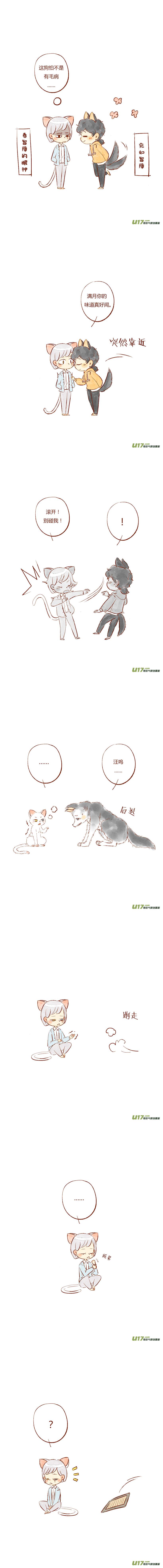 哈士奇无聊挑衅猫,二哈挑衅猫视频