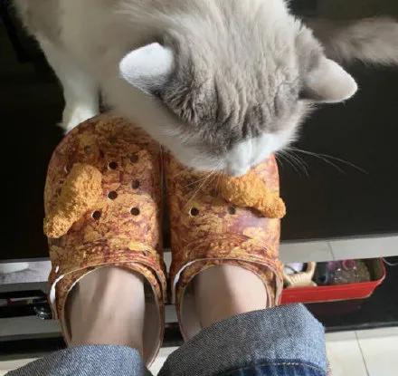 洞洞鞋zara,丑到洞洞鞋