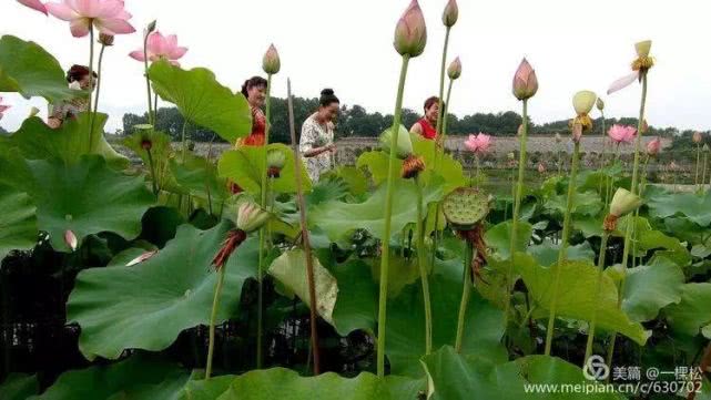 西乡周边景色美的地方,西乡哪里有夜景好看的