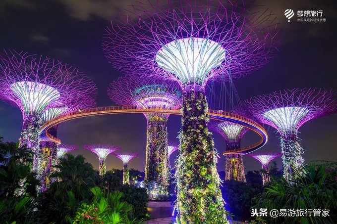 第一次去新加坡要注意什么,去新加坡一定要注意哪些事项