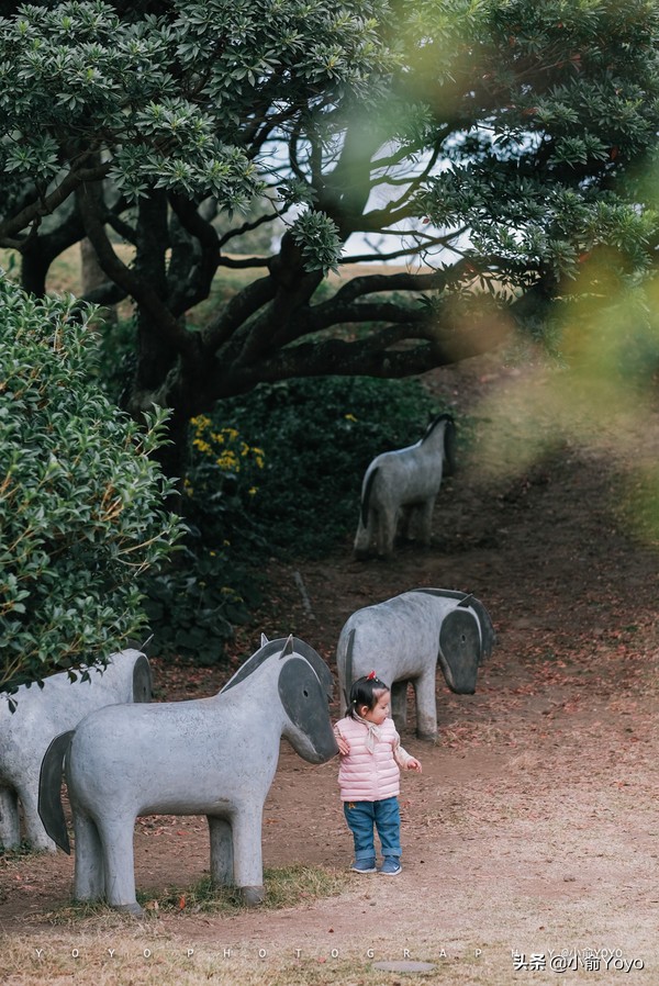 济州岛最值得去的地方,来济州岛第一天去哪玩