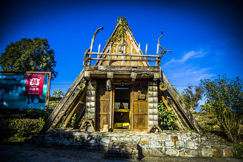 到西双版纳过大年，六日出行超详细吃，住，行攻略