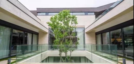 一个神奇的开发商,传说中的开发商