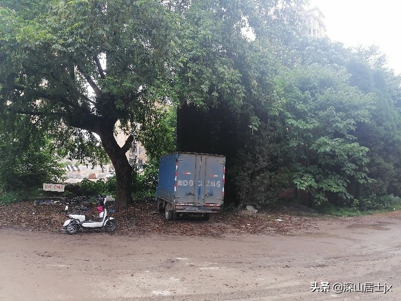 第一个下海的泰和县联合收割机厂