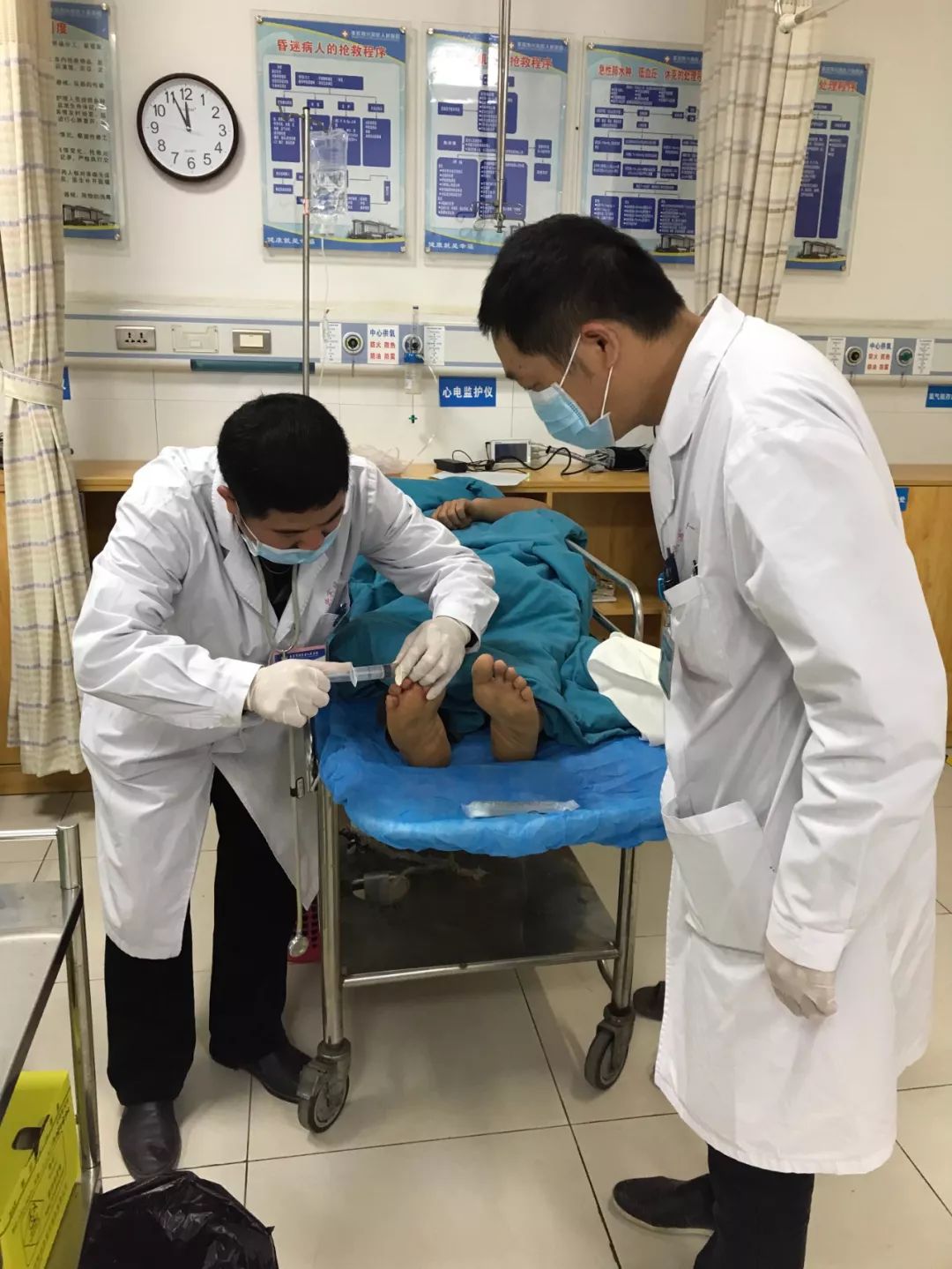 狗狗被眼镜蛇咬了怎么救治,狗狗被蛇咬伤后24小时后还会死吗