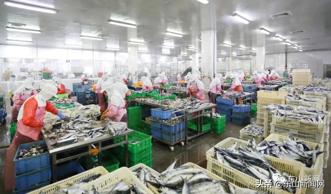 漳州东山今年第一季度近2000吨水产品罐头远销海外