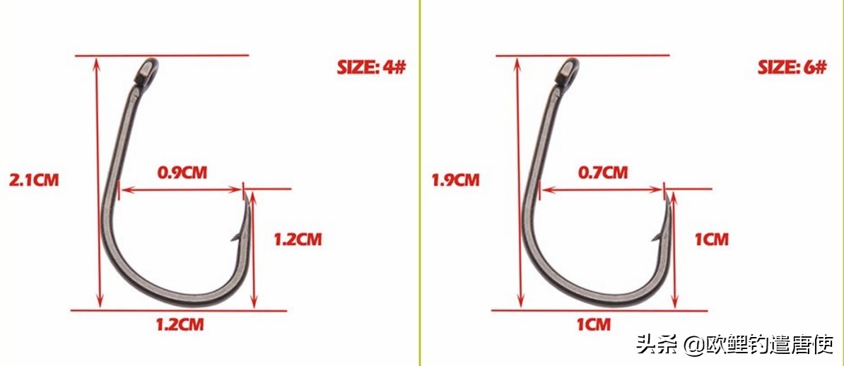 钓鱼也是一种技术,科学钓鱼的基本原理