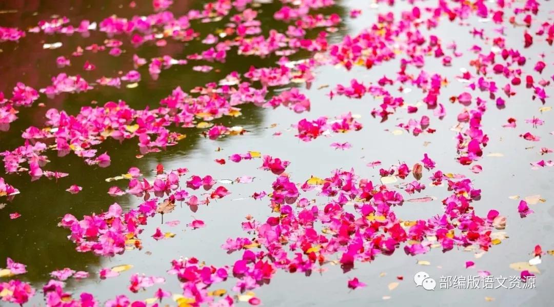 六年级上册语文1-8单元课文知识点,六年级语文上册课外书必考知识点