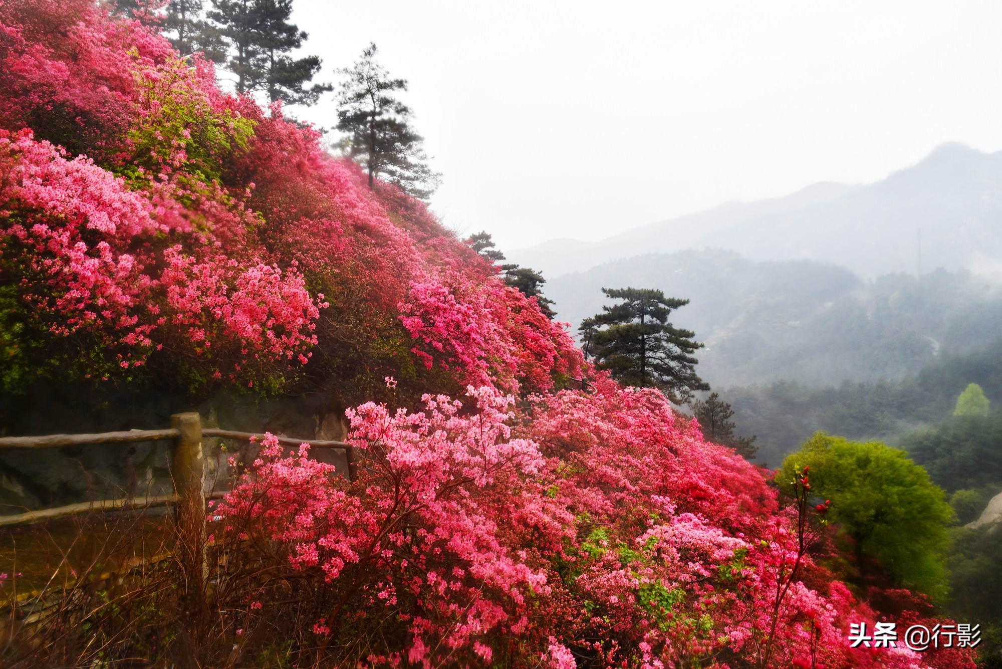 武汉云雾山风景区有什么好玩的,武汉云雾山游玩攻略