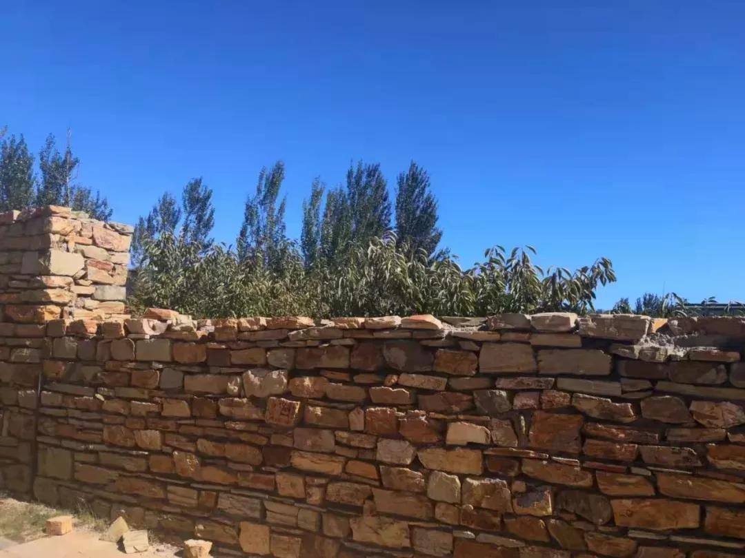 辽宁省高校（三十一）大连医科大学