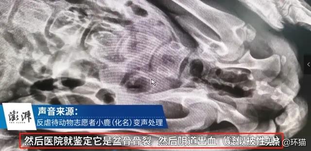 气到发抖对身体有哪些影响,气抖冷梗出处