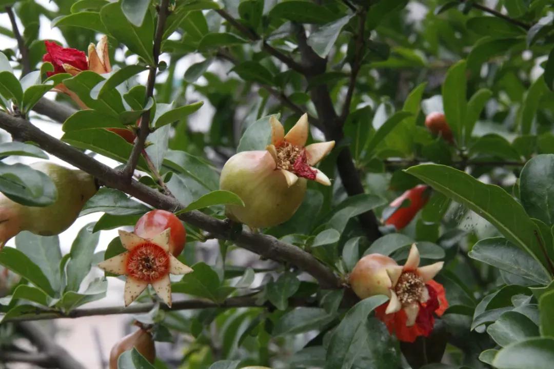 天津市41中学高中好吗,天津市所有普通高级中学排名