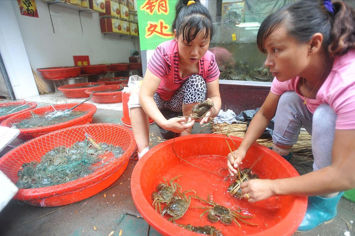 螃蟹公蟹怎么挑选才是正确的,螃蟹怎么选择公蟹还是母蟹好