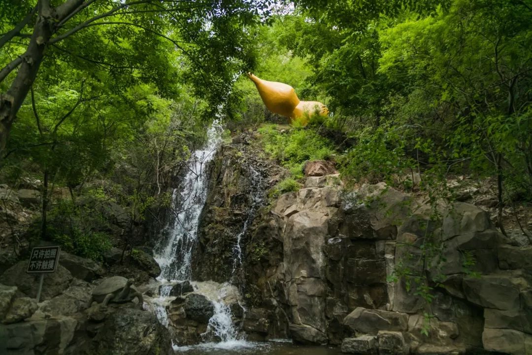 野三坡山水闲居民宿,野三坡民宿网红独院20人