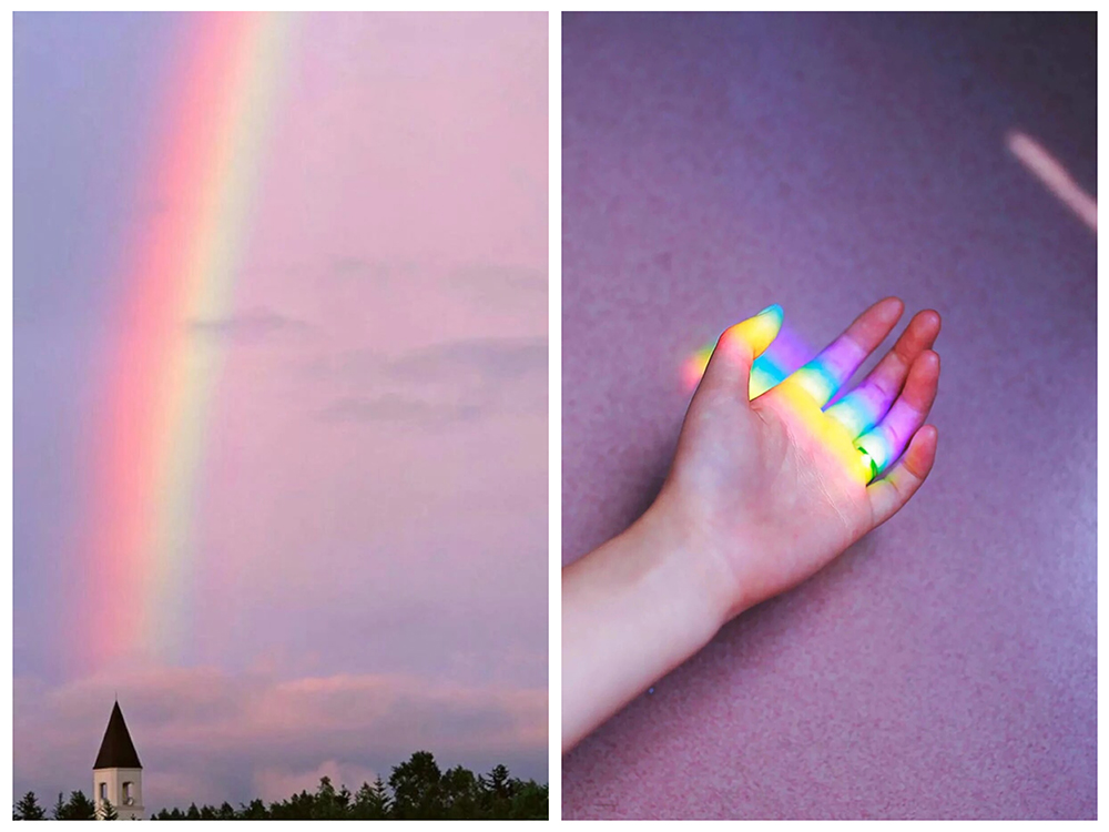 骷髅人体模型玩具,骷髅玩具真实版