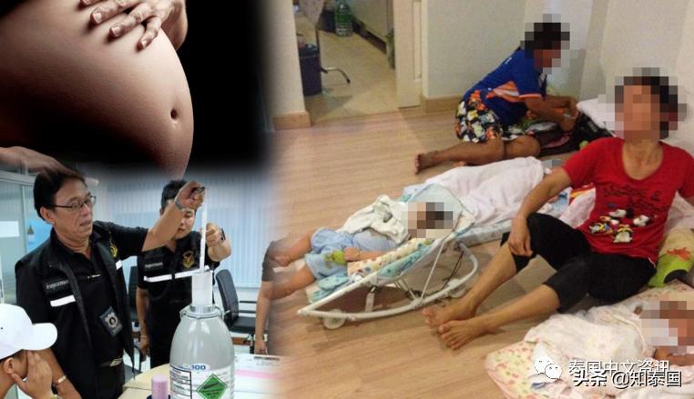 央视曝光非法代孕卵子,非法代孕的案件