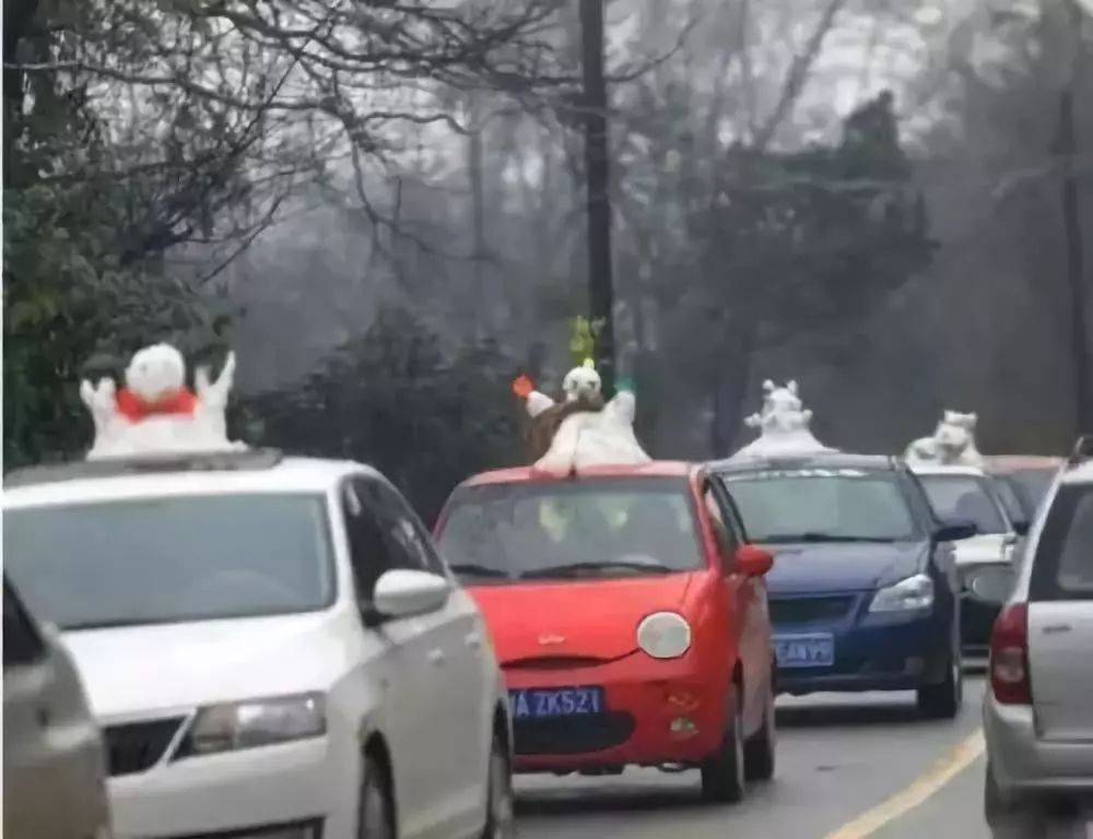 公园回应大妈路边卖雪,大妈卖雪5元一盆