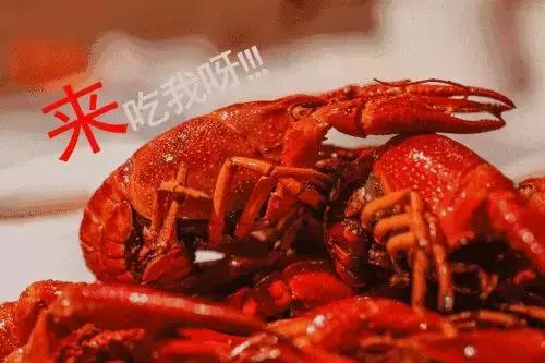 灏忛緳铏惧拰鎴夸环,灏忛緳铏炬埧浠峰灏戜竴骞虫柟