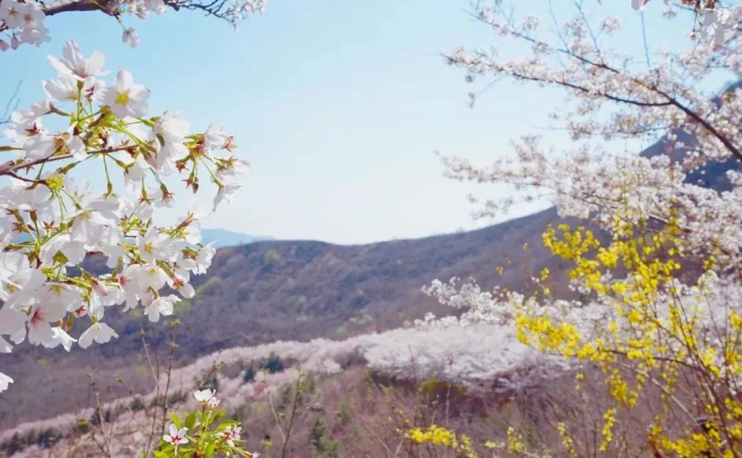 春天登山正确打开方式！这些藏在深处的秘境、美宿、茗茶在等着你！
