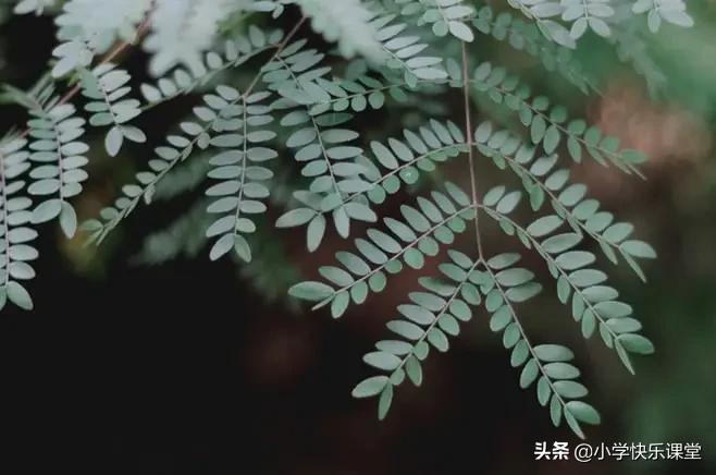 小学语文必备成语积累,1-6年级语文59类常用成语词汇总结