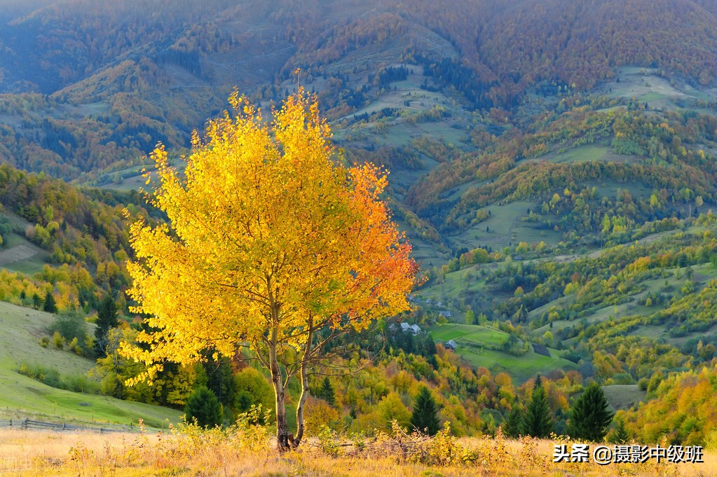 摄影构图三大禁忌,摄影构图常犯的错误新手必须谨慎