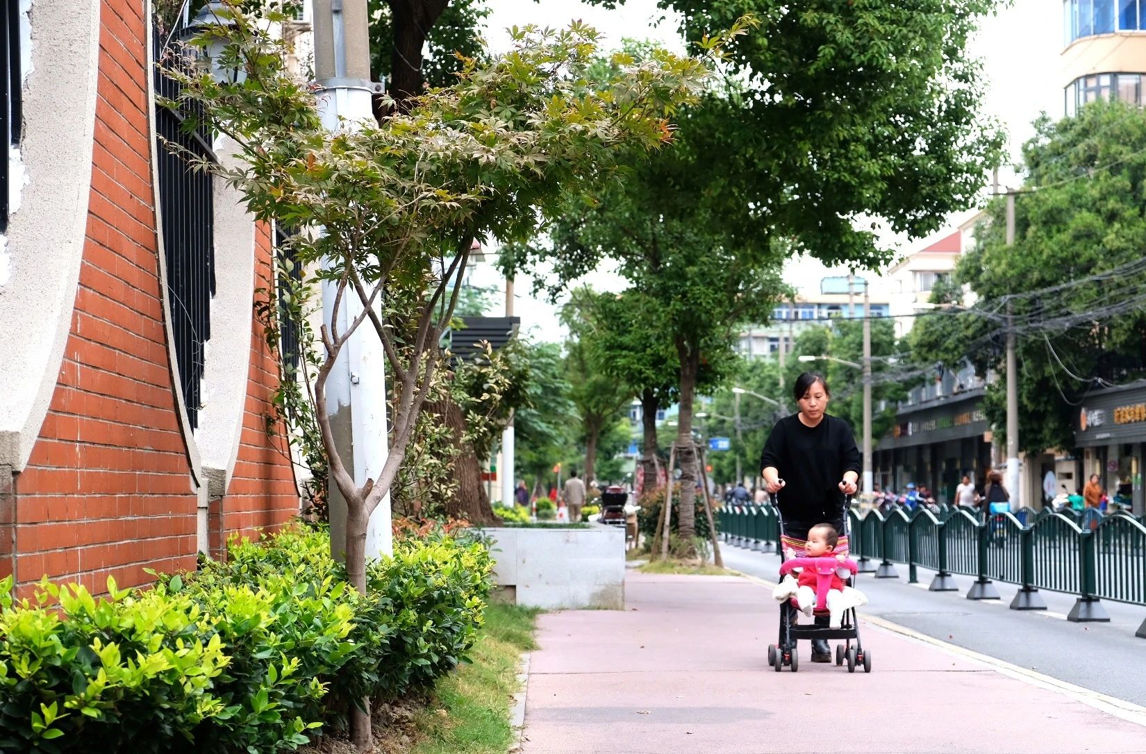 变美、变慢、变温柔,彭浦镇25条街集体宜人化是怎么做到的