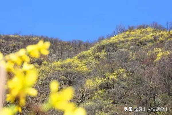 鲁山景点都有哪些,鲁山风景区都有哪