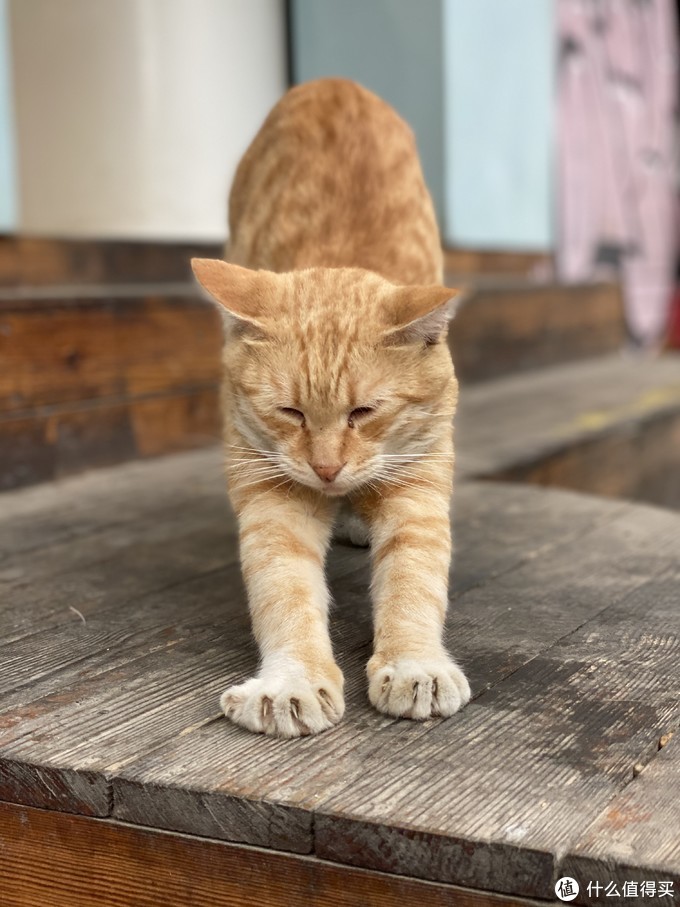 iphone11pro看视频清晰度,iphone11pro和iphone12