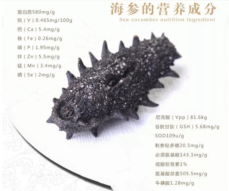 揭开神秘海洋生物世界,揭开神秘的面纱