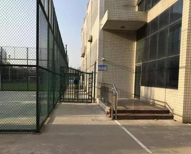 郑州中招考试时间2022年具体时间,2019年中招郑州体育考试时间