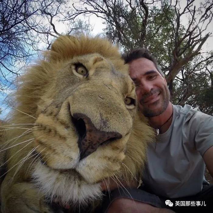 蓝鲸实拍有多大,蓝鲸到底有多大参照物