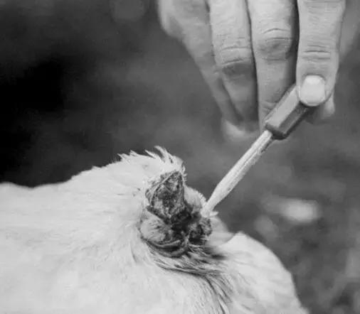 10条有意思冷知识,100个绝对颠覆你认知的身体冷知识