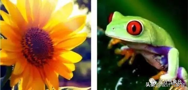 别说了，我们作品集的分析图都用灰系！（附全套素材）