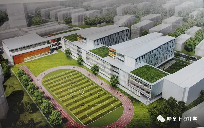 上海上外是哪几所学校,上外大学在全国排名多少