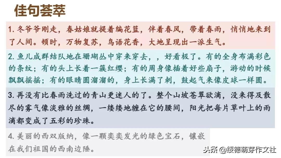 三年级上册语文这儿真美作文200字,三年级上册语文习作这儿真美