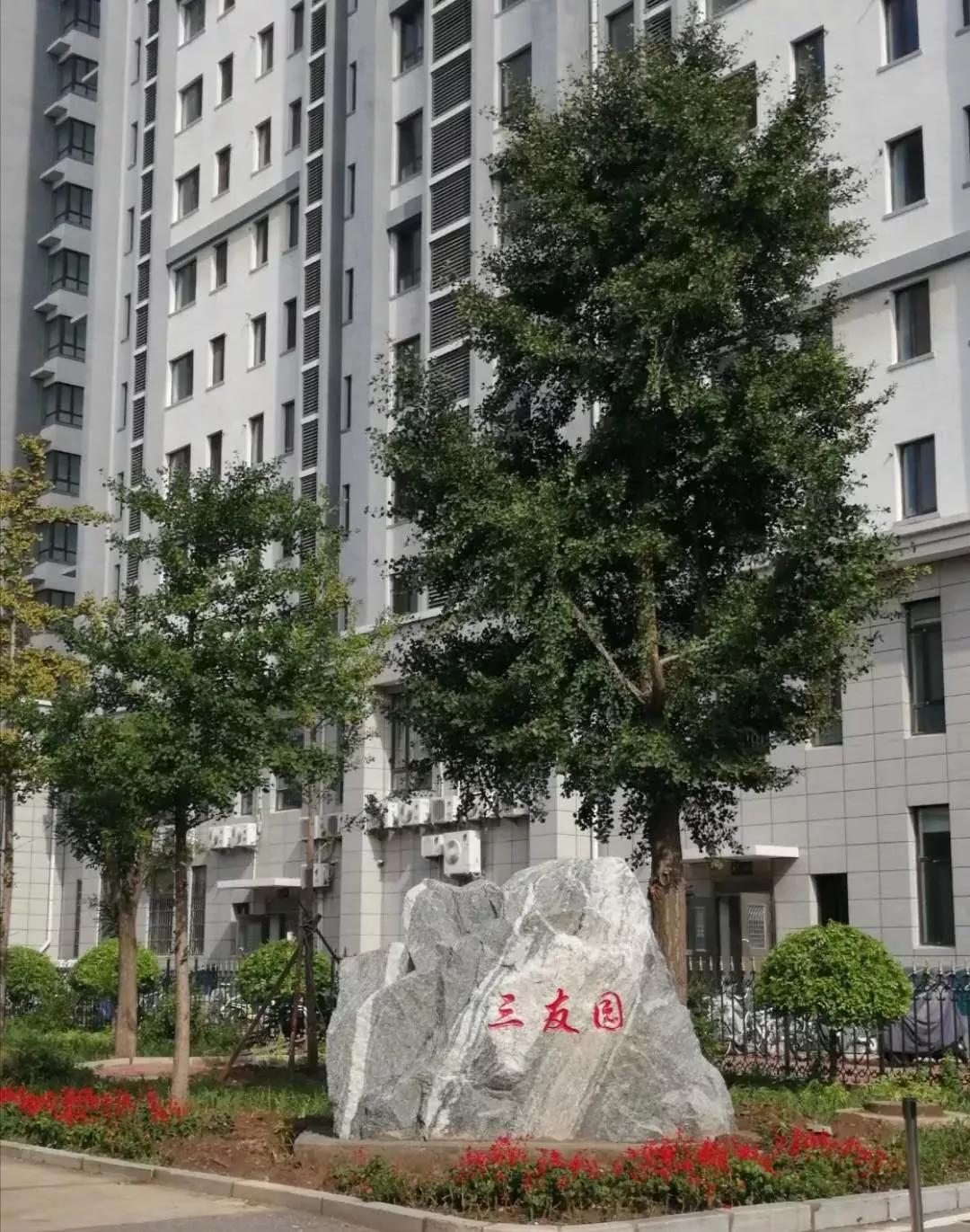 辽宁省普通高级中学(二十二)渤海大学附属高级中学