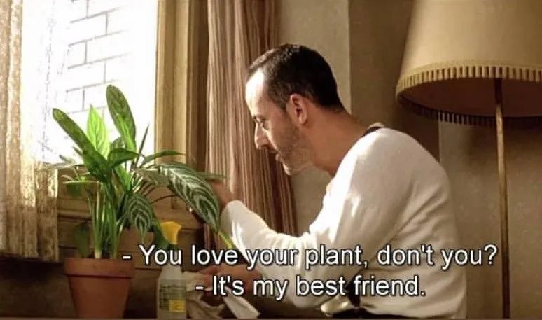 金盆洗手吧，植物杀手们