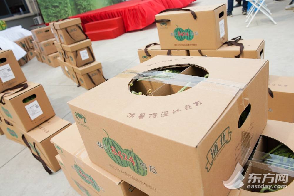 安徽8424西瓜产地批发多少钱一斤,今日西瓜价格最新行情8424