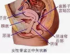 尿急尿频反反复复怎么回事,为什么尿频尿急反反复复
