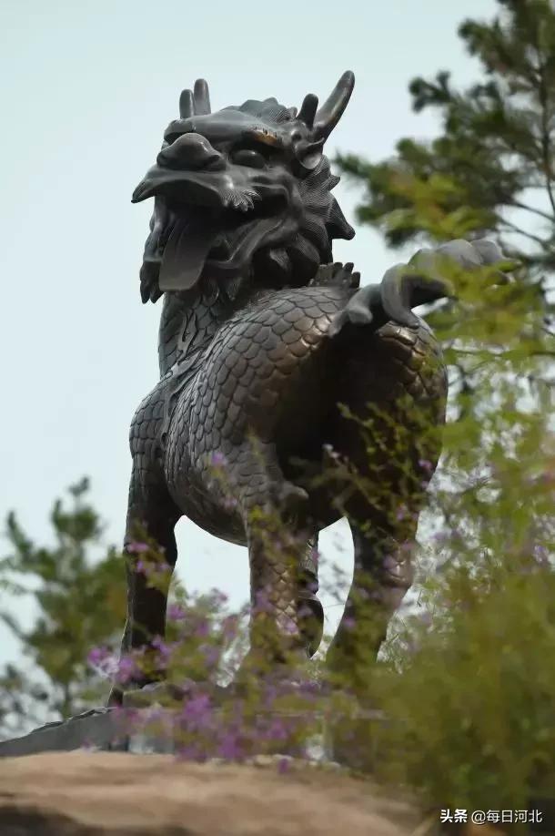 黄金寨一游,黄金寨百泰麒麟园