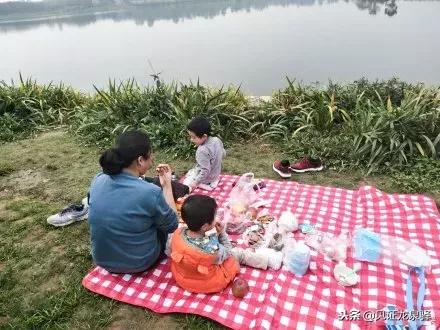 打卡青龙湖湿地公园,青龙湖湿地公园拍照技巧